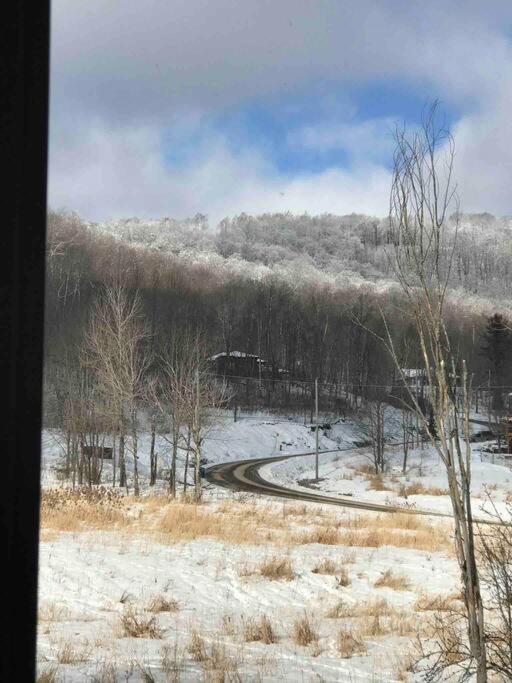 La Verivraie/Truly -Hebergement Touristique/Tourist Accomodation نورث هاتلي المظهر الخارجي الصورة
